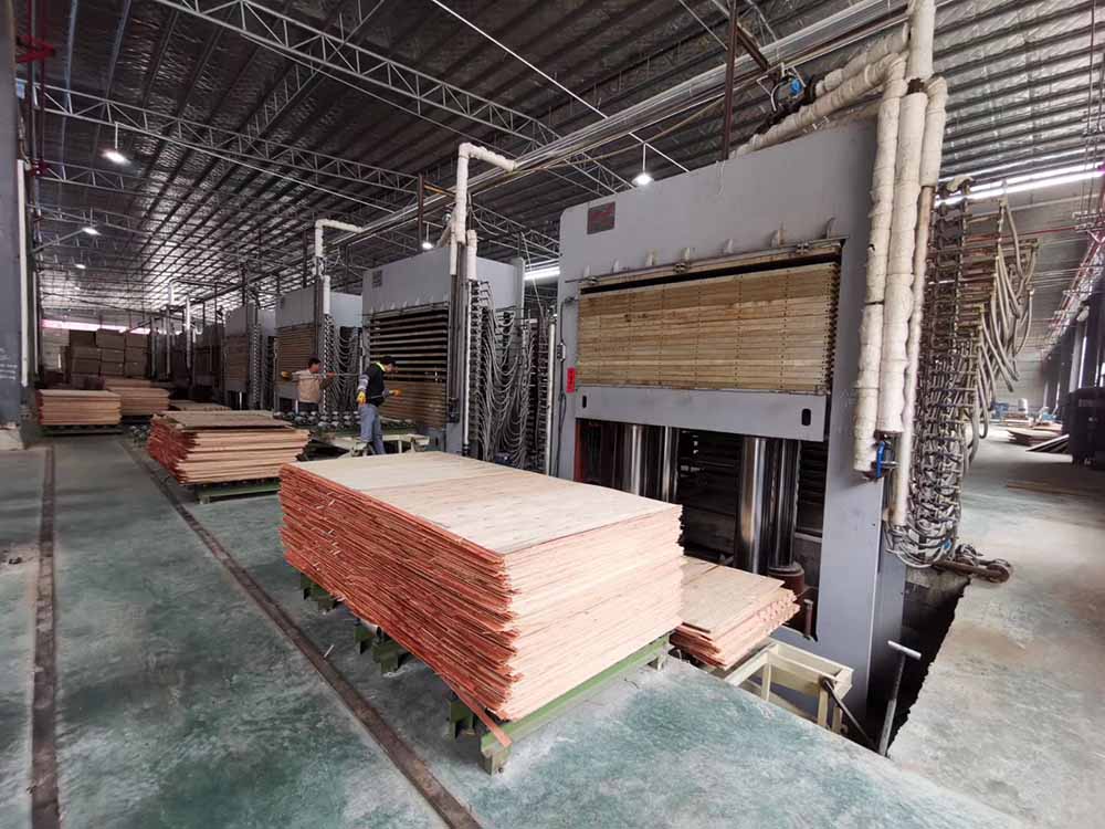 Difference and Application Analysis between veneer press and other press